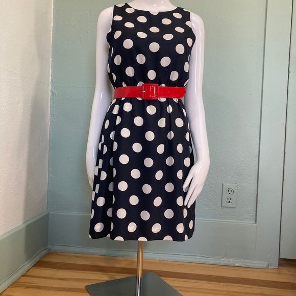 J Crew Dress with Belt and Earrings 2 - Picture 6 of 6